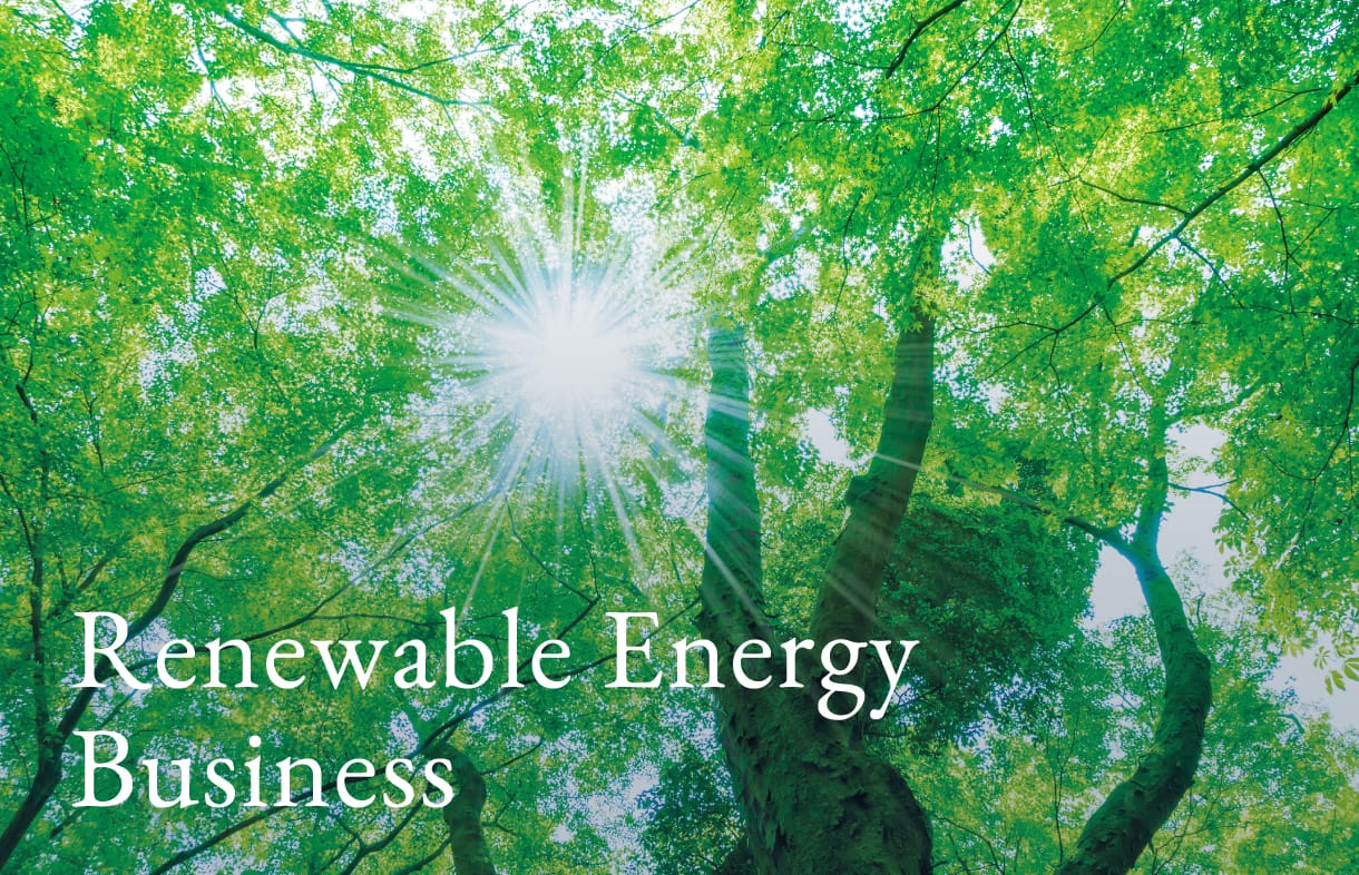 Renewable Energy Business